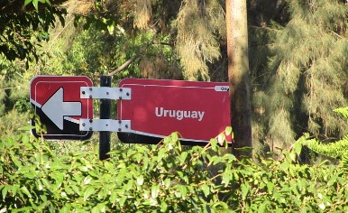 Relocation to Uruguay: airport pick-up, check-in at the flat, opening a bank account, Internet connection and mobile phones, enrolment of children in kindergartens and schools. 